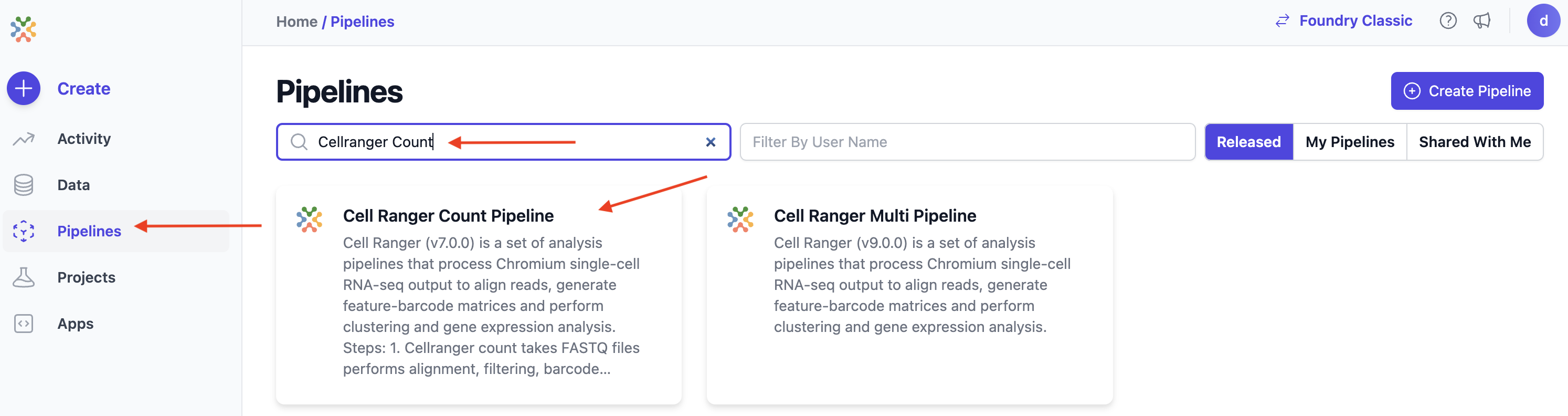 Image showing pipeline selection