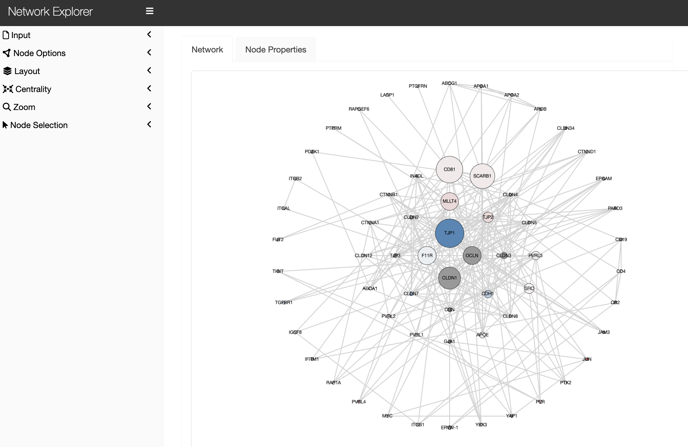 Network Explorer