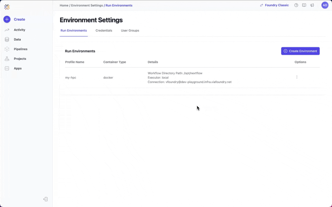 Configure Run Environment